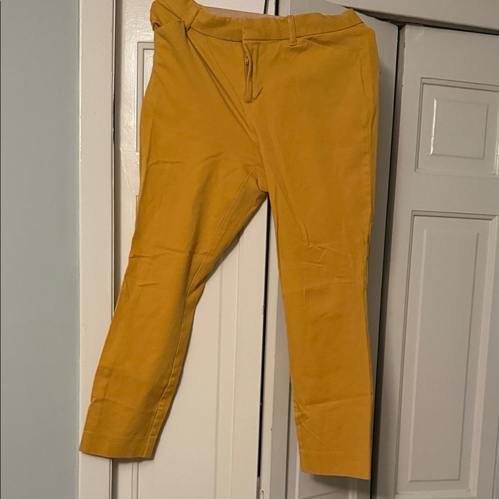 Women’s Mustard Chinos